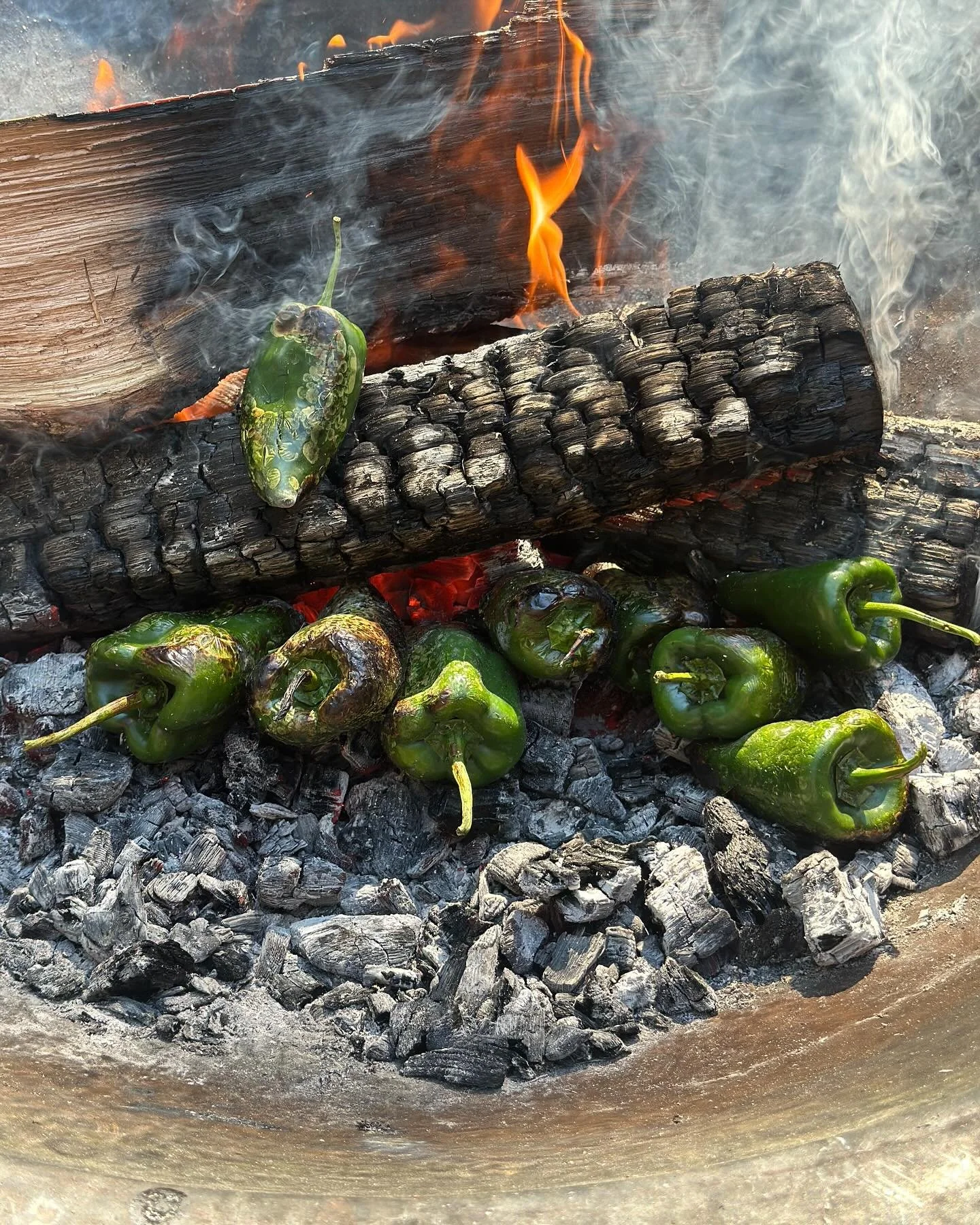 Here Comes the Sun.

So much has been made of September light. I worship at the altar of September harvests, but they are one and the same. This light that inspires so many has a hand in the abundant harvest, and so the trick with cooking its bounty 