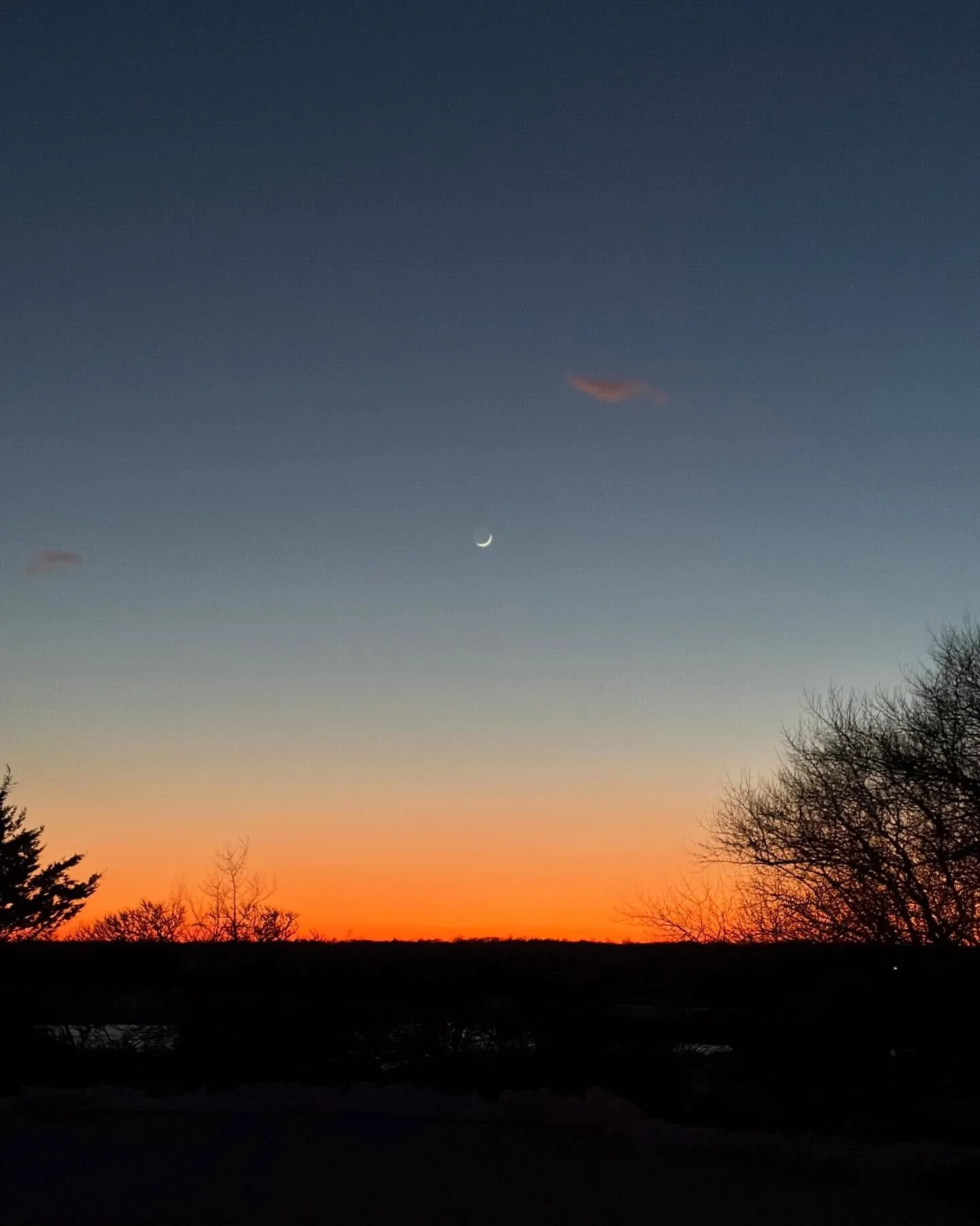 The moon over Maidstone, January 20th, 2026