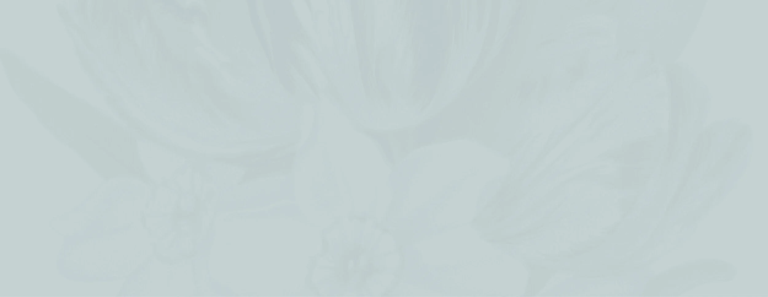 NDP_Website-Backgrounds_F4.jpg