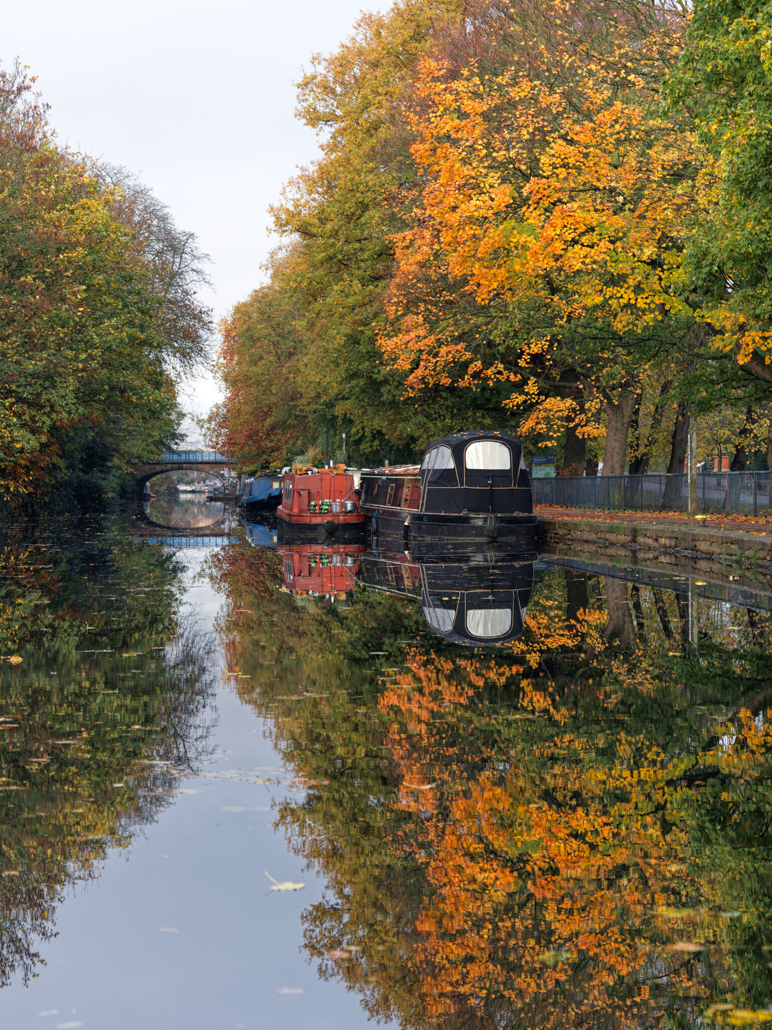 Houseboats and Glassy Autumn Leaves