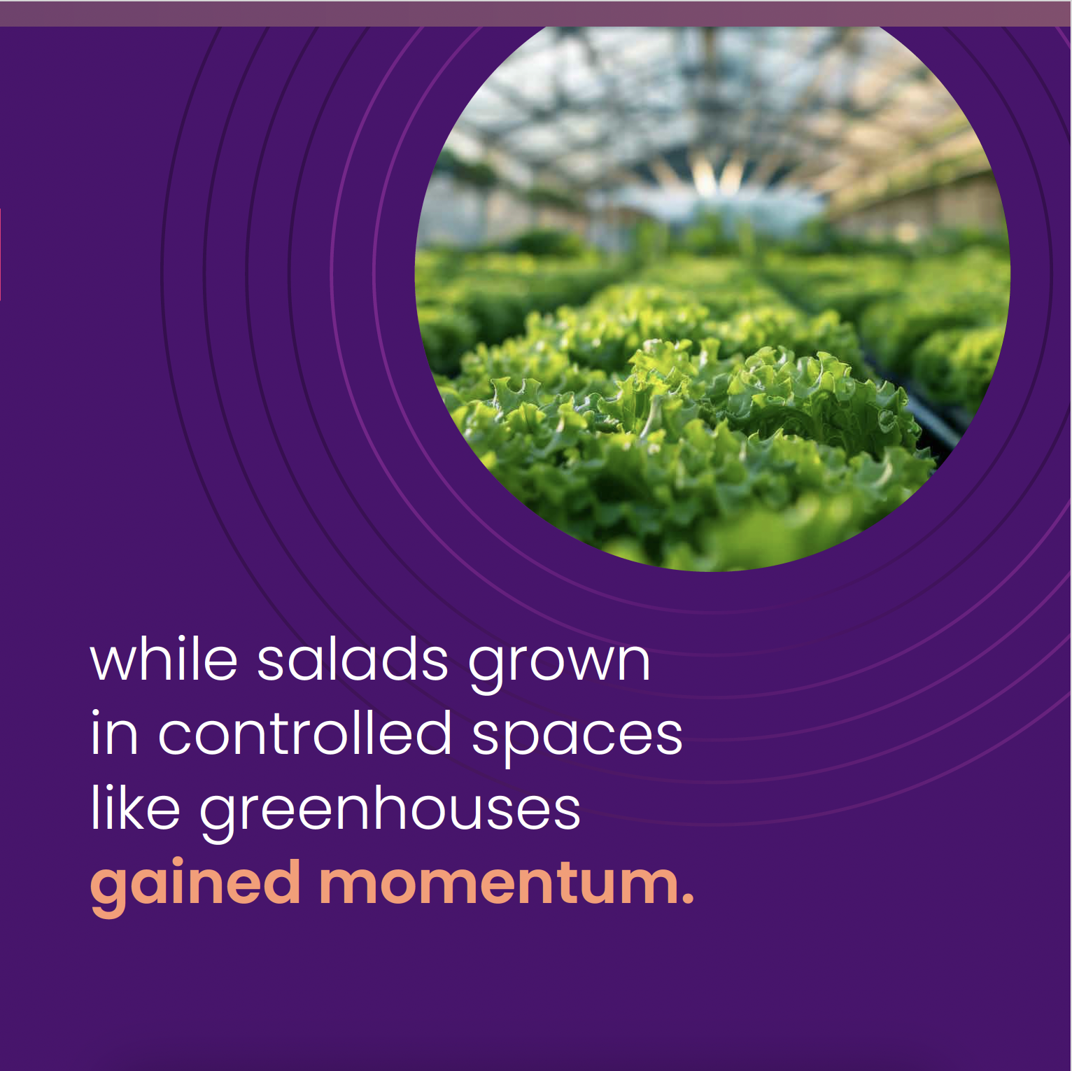 salad_3.png