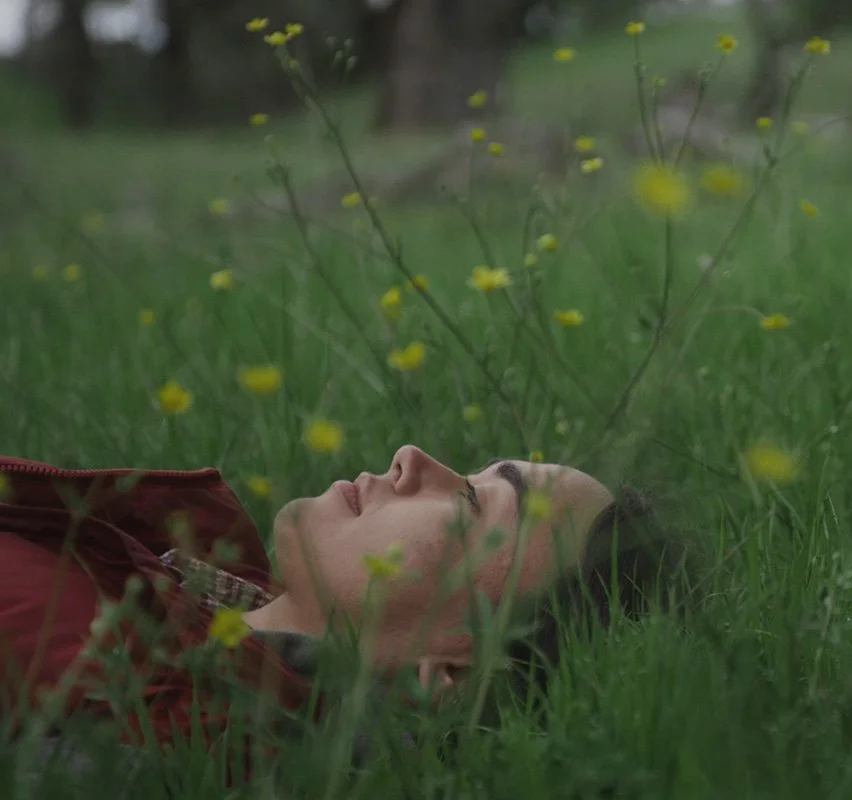 woman lying in field
