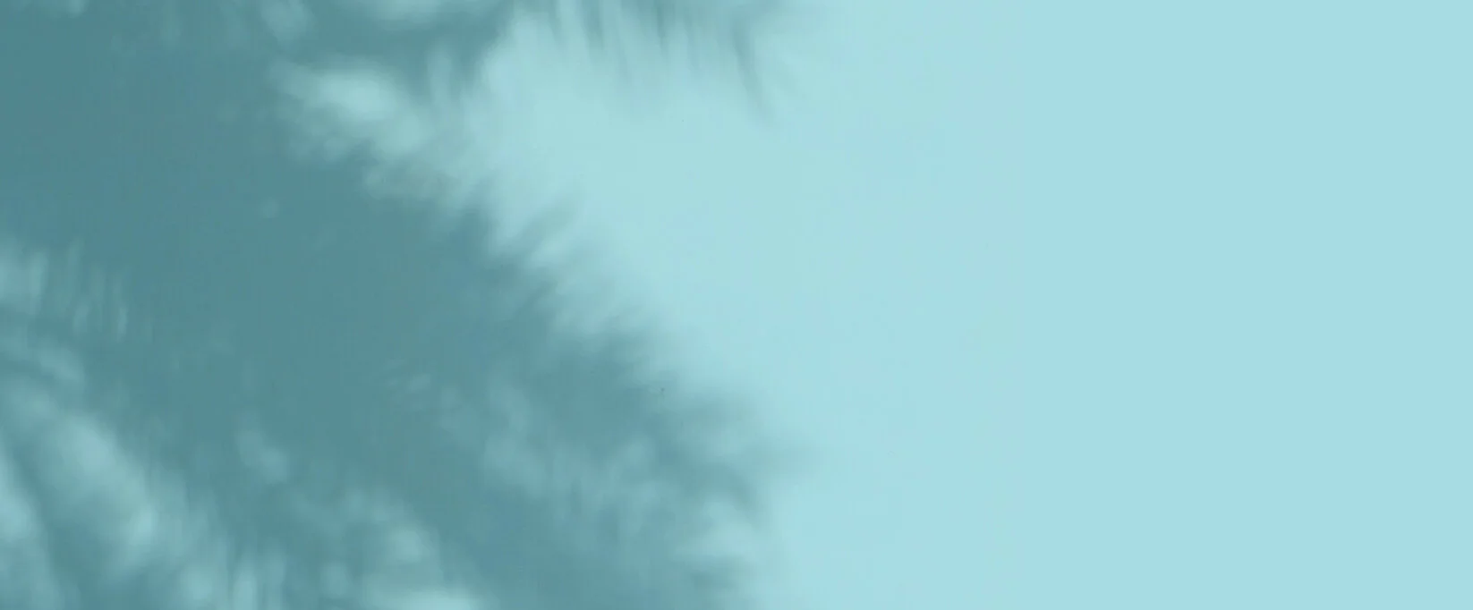 footer wide bg.jpg
