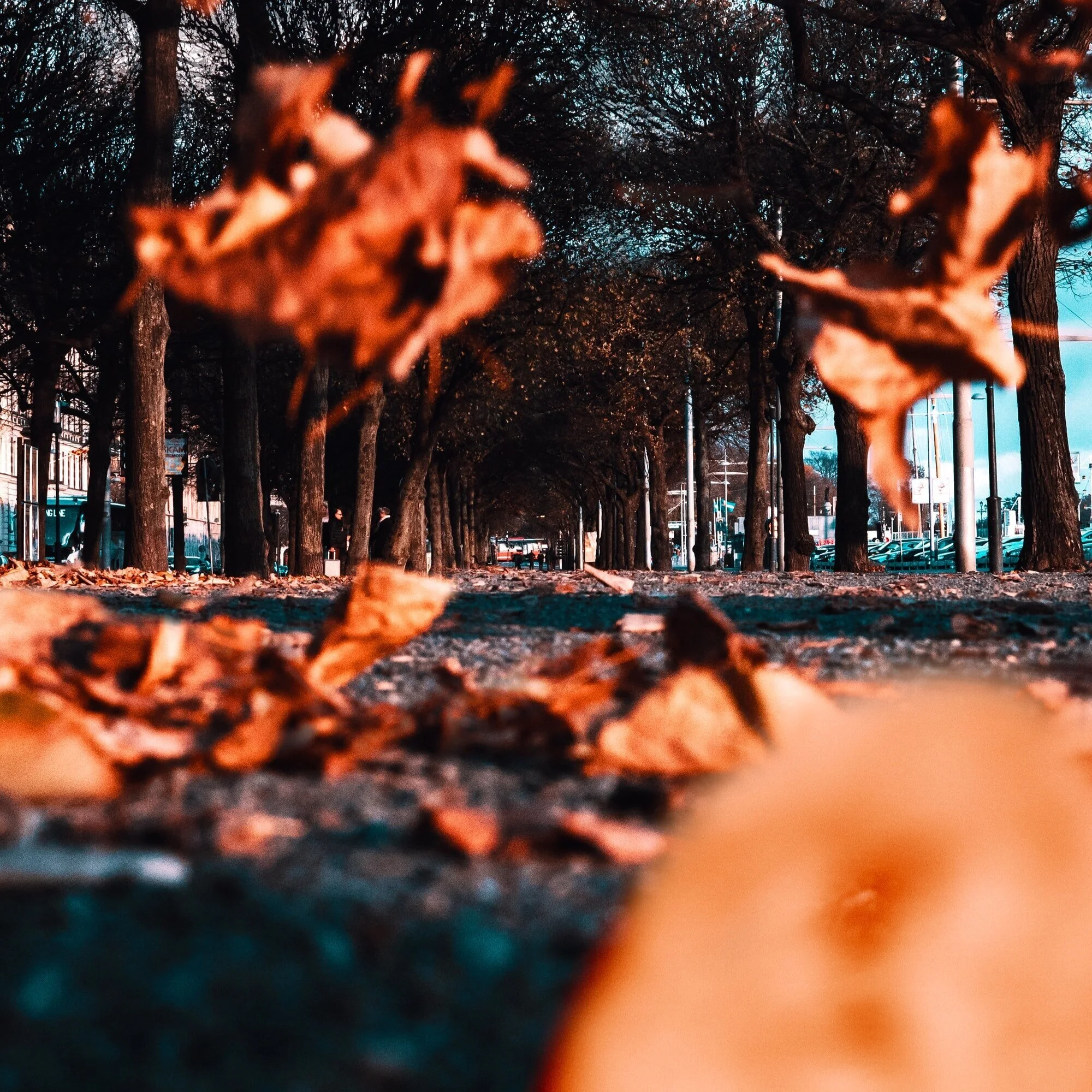 If Sir David Attenborough did youthwork Part 2…