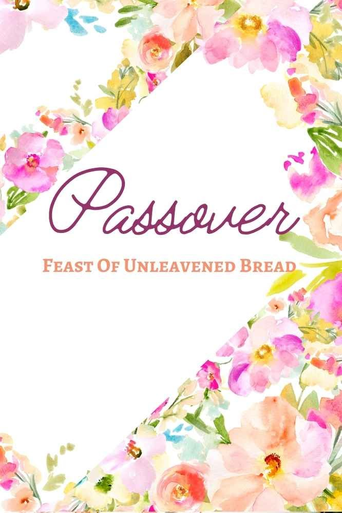 Oxford Vineyard Passover Seder Meal