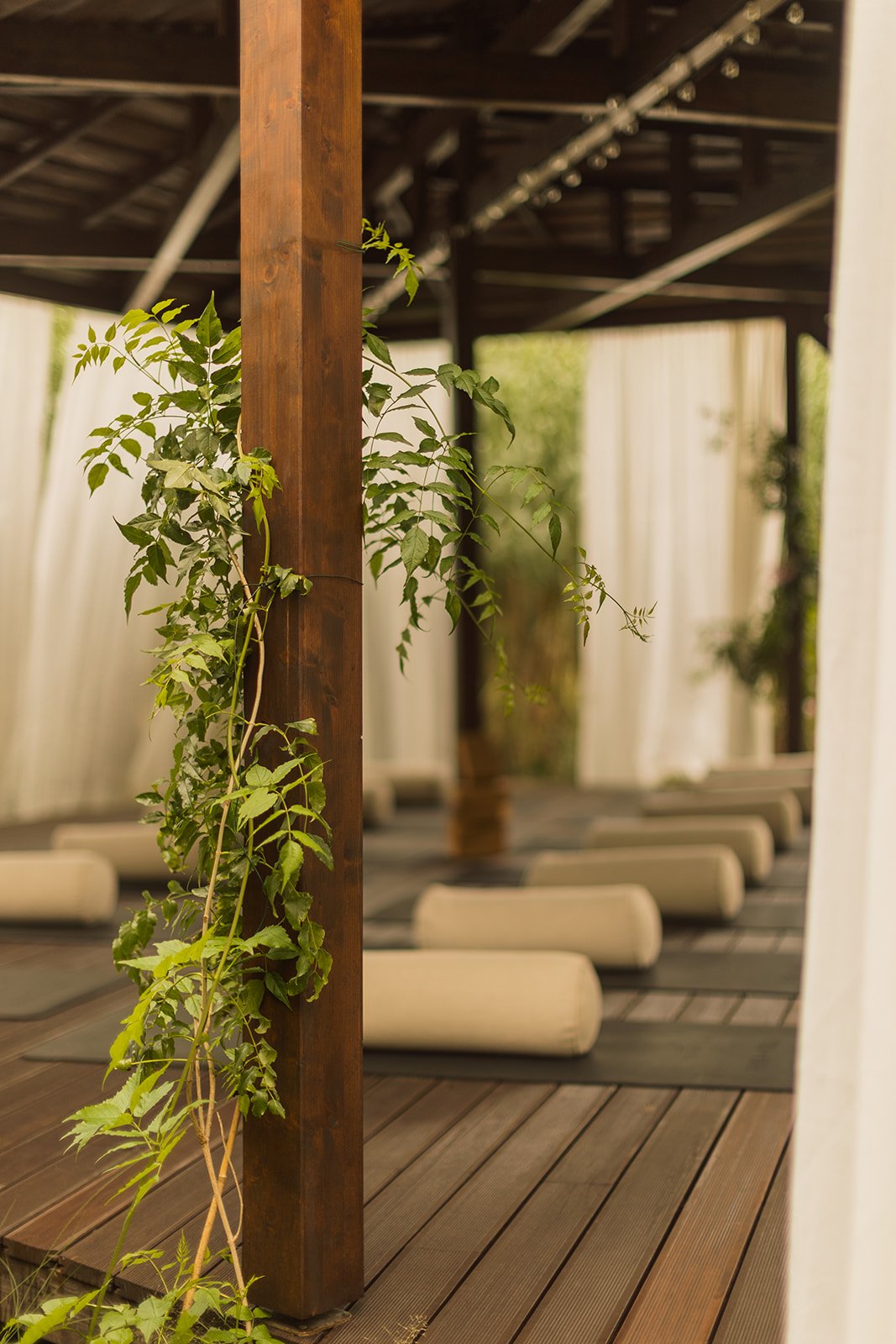 Casa de cura - warmth -35.jpg