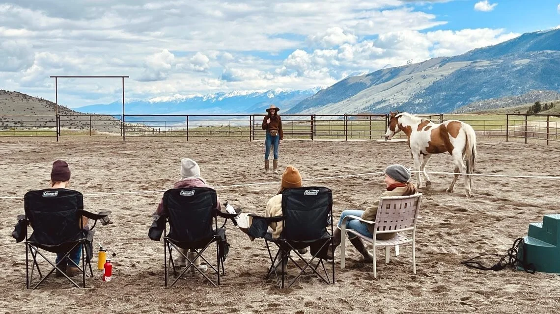 I&rsquo;ve struggled to find words to describe my experience teaching my first Being with horses&hellip;clinic. It feels too big for words. 
One thing I can say for sure is that I feel infinite gratitude for all the participants who showed up so whol