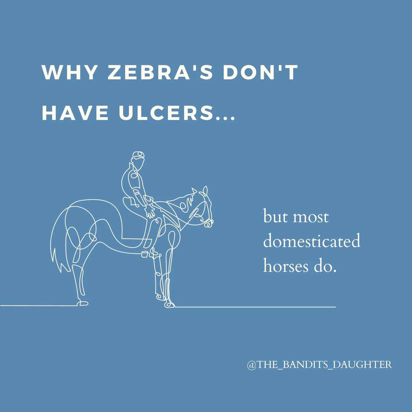 Something that's been on my mind for a while, because I hear it again and again: "my horse has (insert chronic issue) and no matter what I do it won't go away." I've known many horses that were put down way before their time due to chronic 