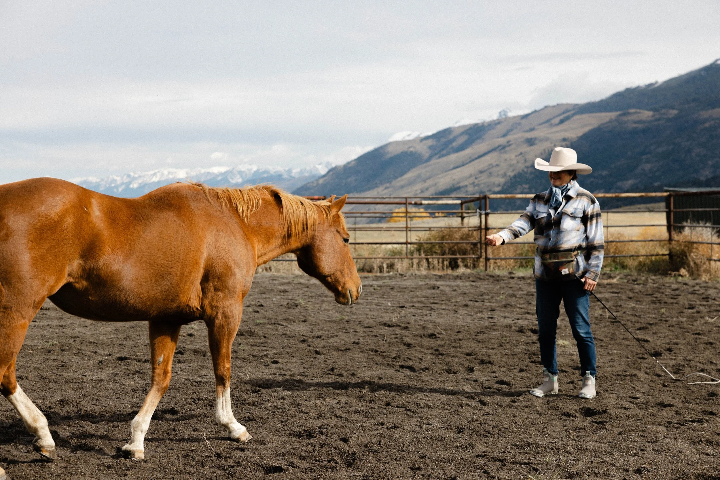 BEING WITH HORSES with Sabine &amp; Dan Birmann