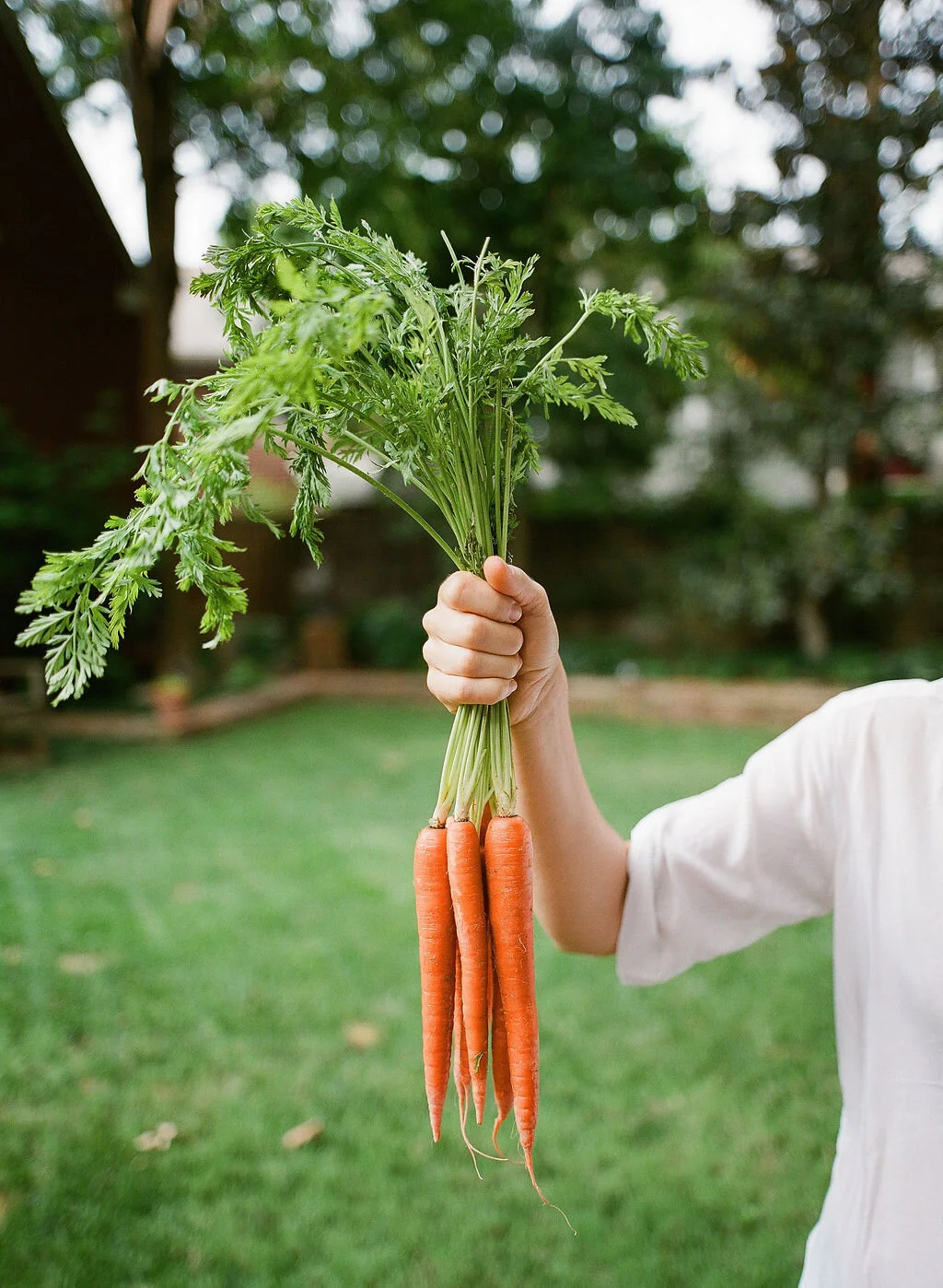 Small business branding photography, washington dc