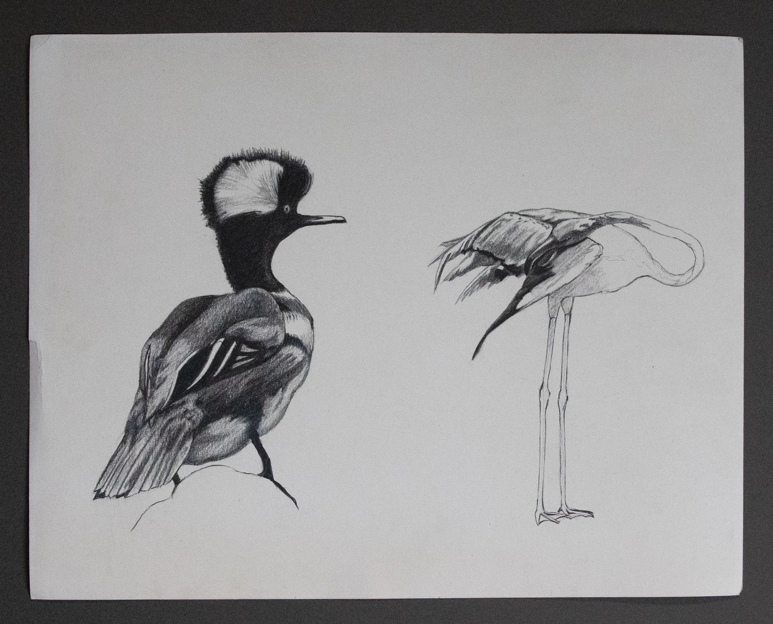 JEANIERUEDYSKETCHES-45.jpg