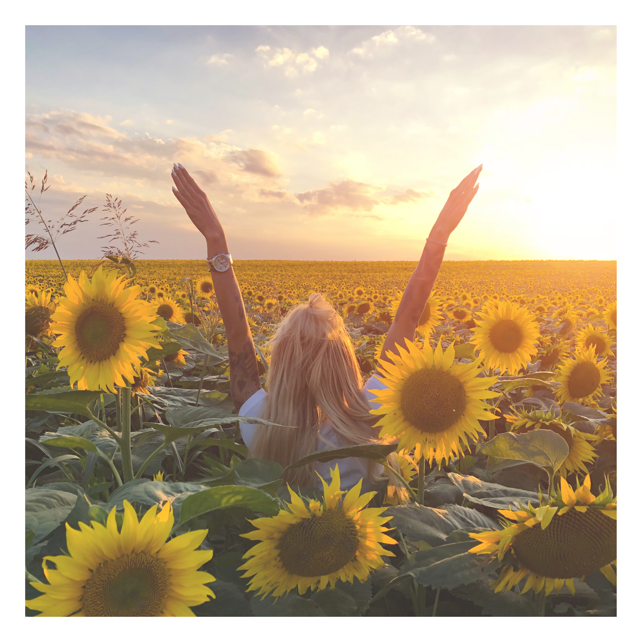 The Wisdom of Menopause