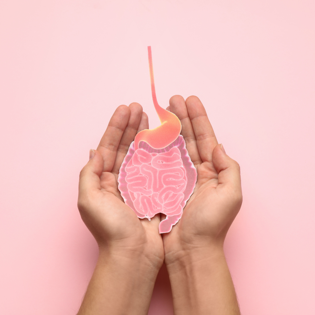 The Oestrogen-Gut Microbiome Axis: Exploring Its Significance for Women's Health