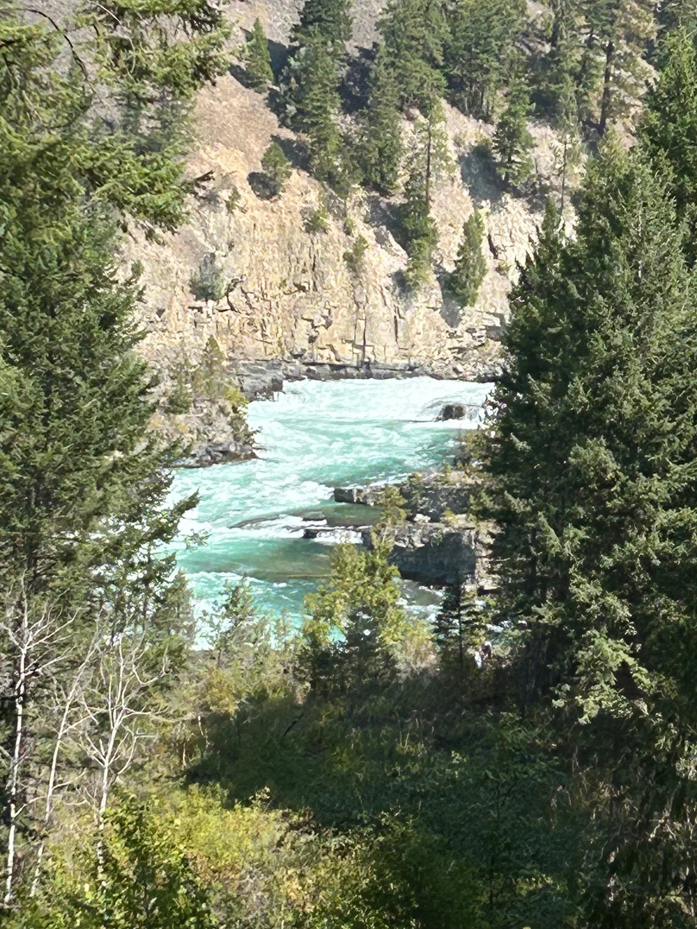 IMG_4201.jpeg