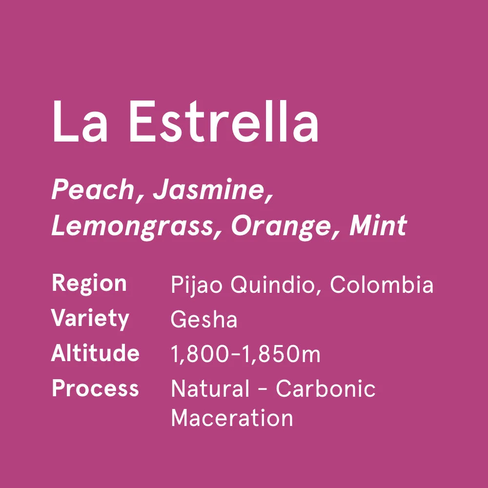 La Estrella Tile.jpg
