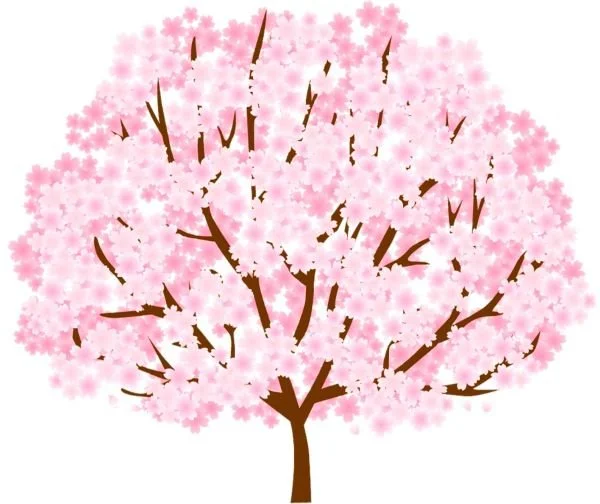 Jikiden Reiki training courses