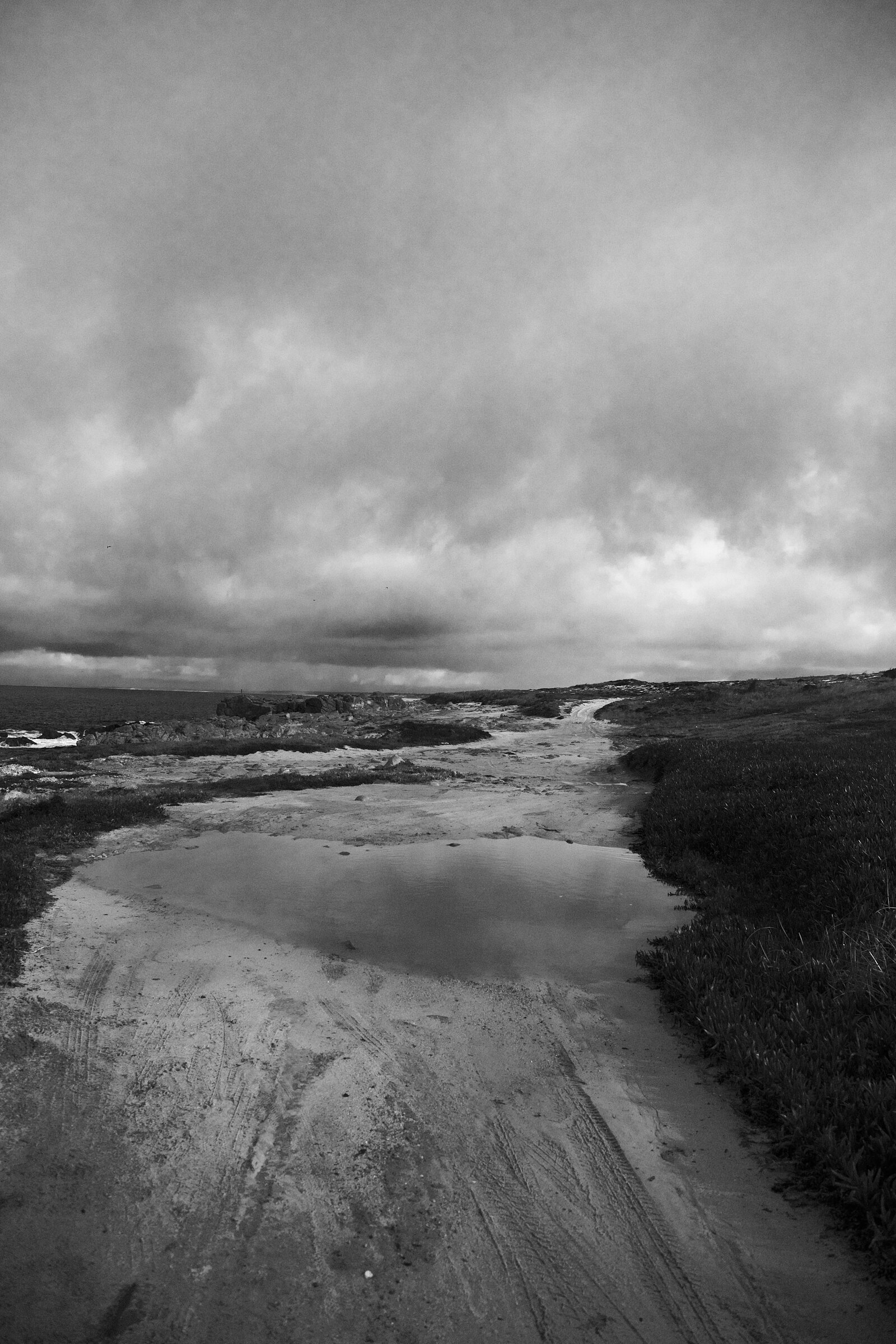 Alentejo - Vida a acontecer - Dunas Inverno SW Alentejano-0019-JPEG sRGB 1600px for web-JPEG sRGB 1600px for web- 019.jpg