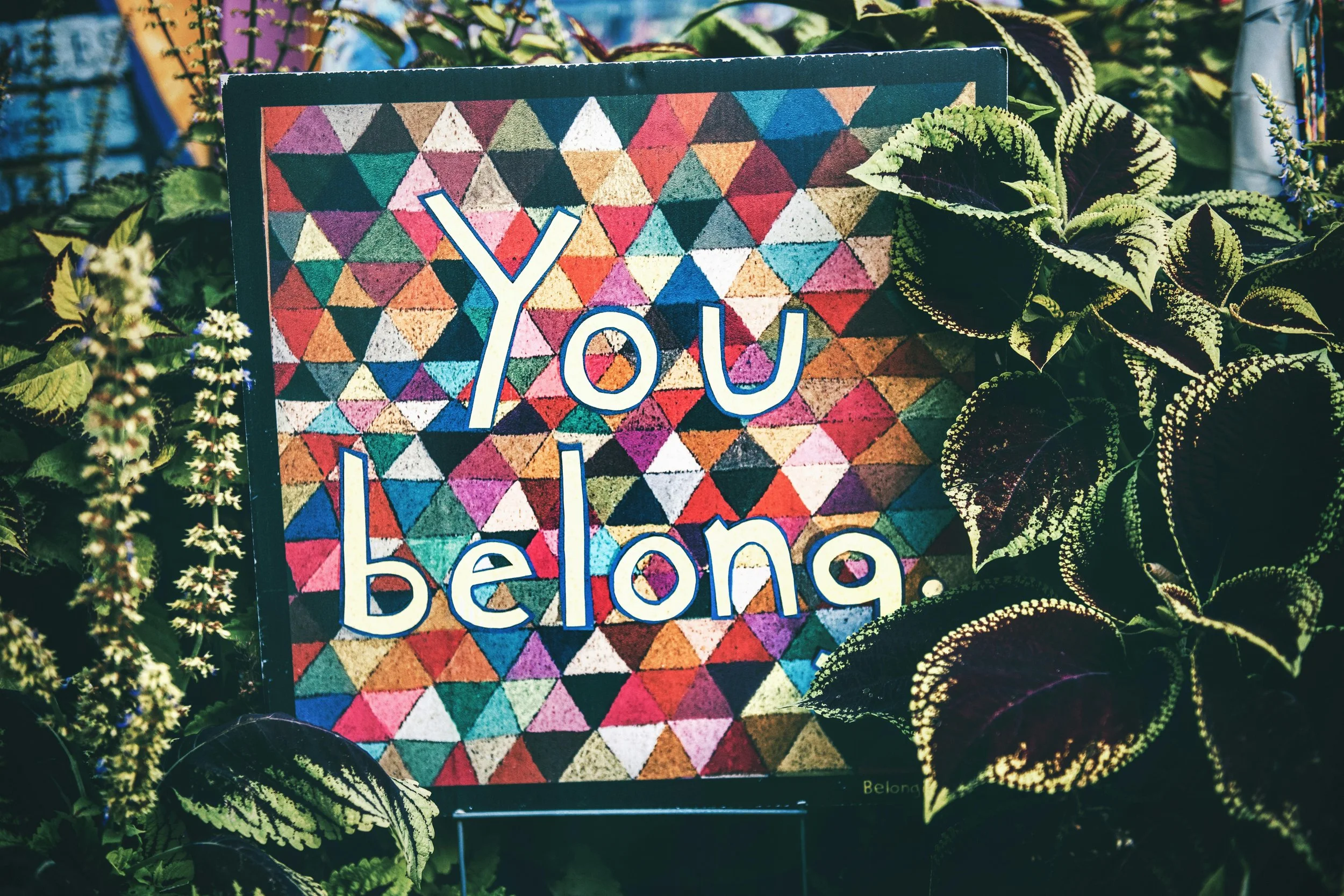 To Every Immigrant Wondering If They Belong Here: This One's For You.