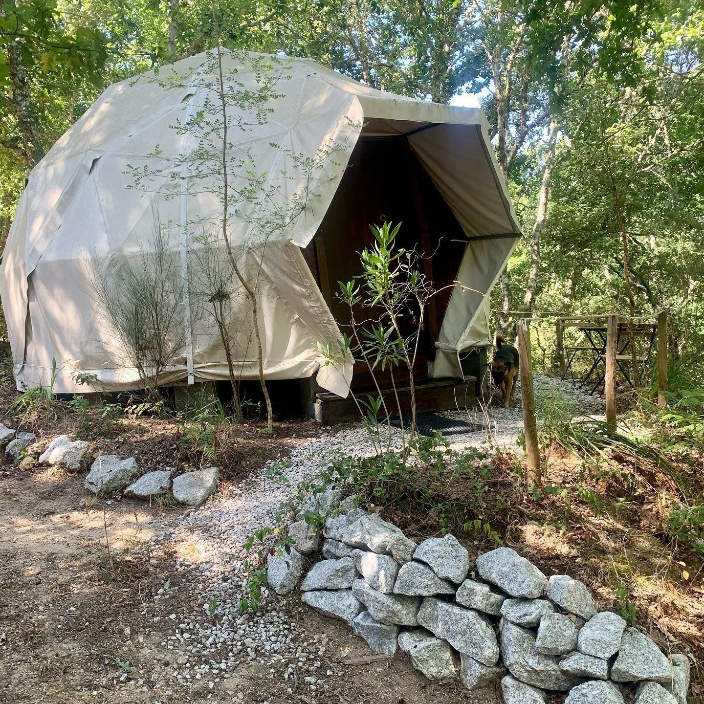 The spring is in full swing and our glamping area is practically bathing in all the green lush forest goodness! 🌿💚🍀

The perfect time for a visit is now. 🏕️🦦

✨Special prices for direct orders!✨

#glamping #geodesicdome #springvacation #forestba