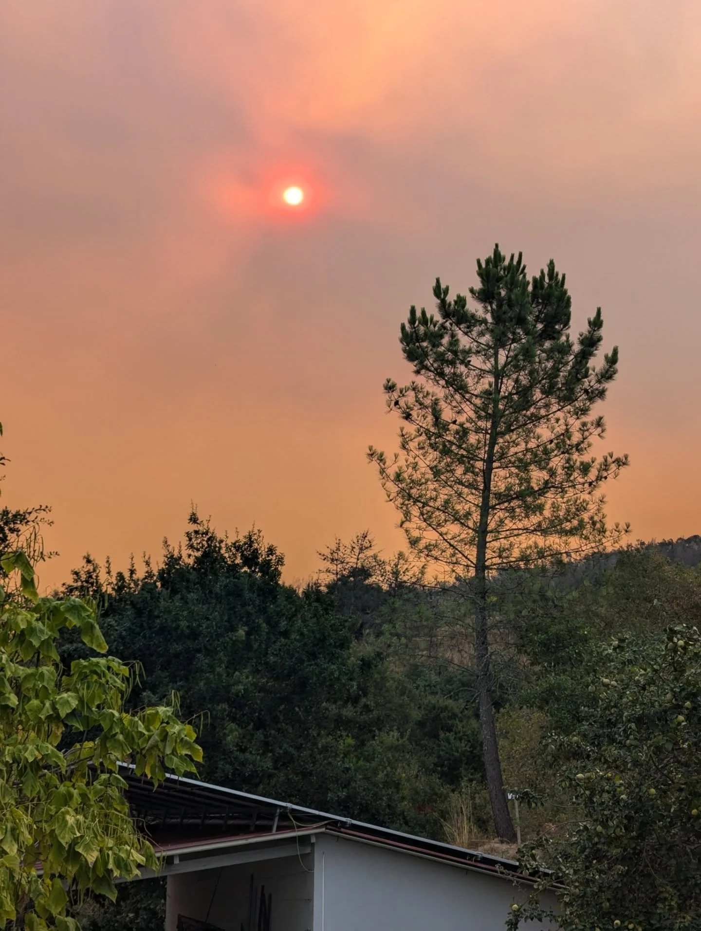 It is a difficult time here in Portugal with the forest fires across the country. We are thankfully safe and have clear skies, but our hearts go out to all those affected and to the courageous firefighters working tirelessly to combat the spread. 🙏?