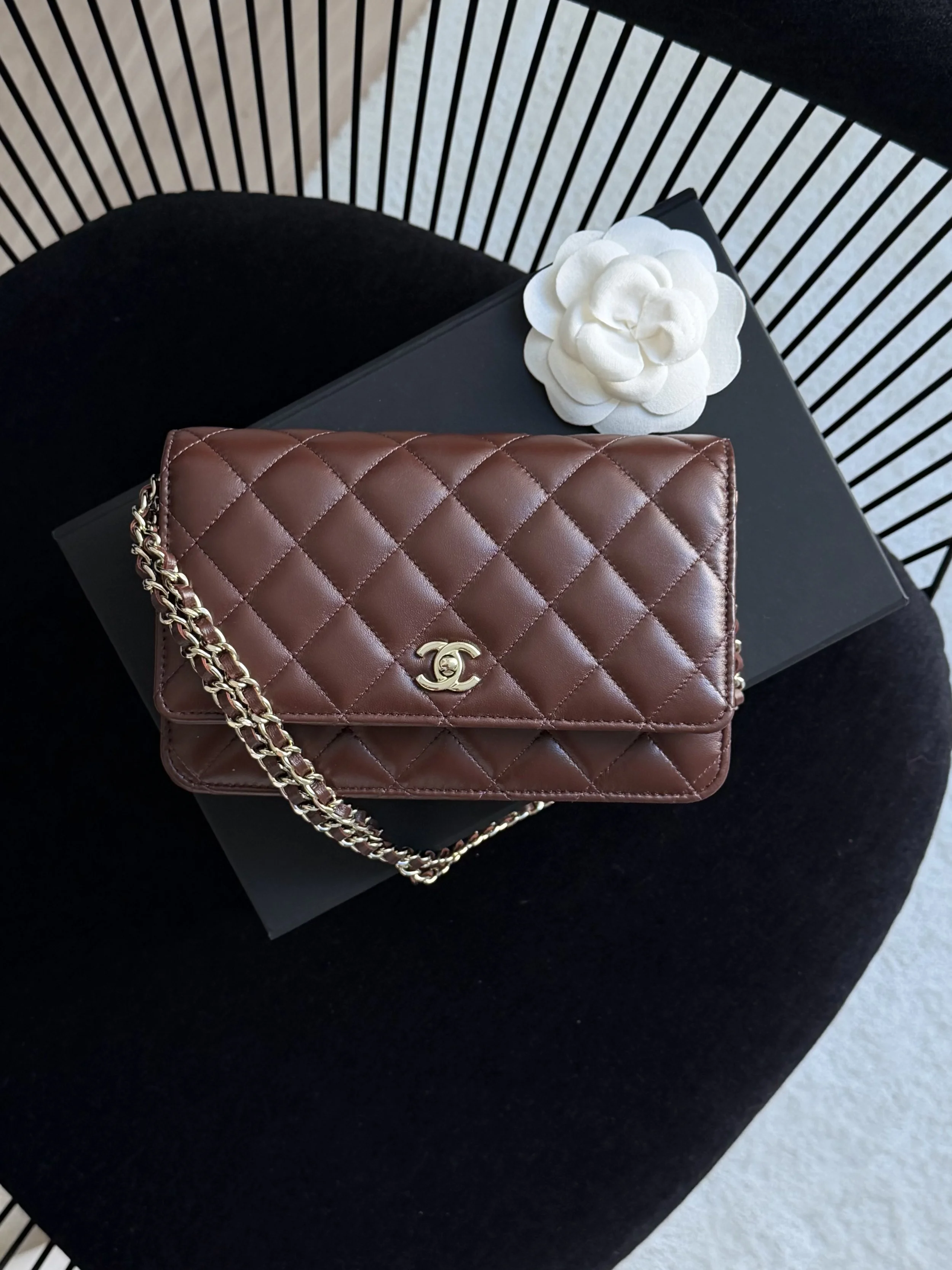 Chanel Wallet On Chain