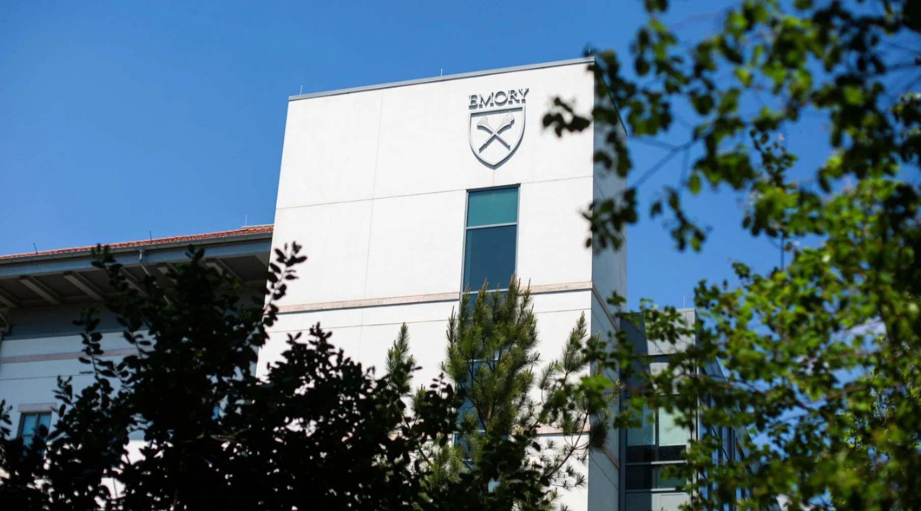 Inaugural Science Gallery Atlanta Faculty Research Fellows named