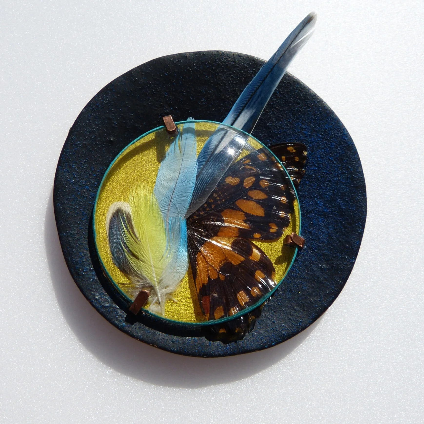 Arina Nitulescu (Romania) - Designer