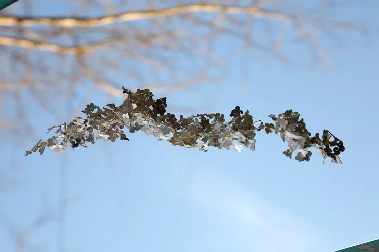 Tsagaantsooj Erdenechimeg (Mongolia)