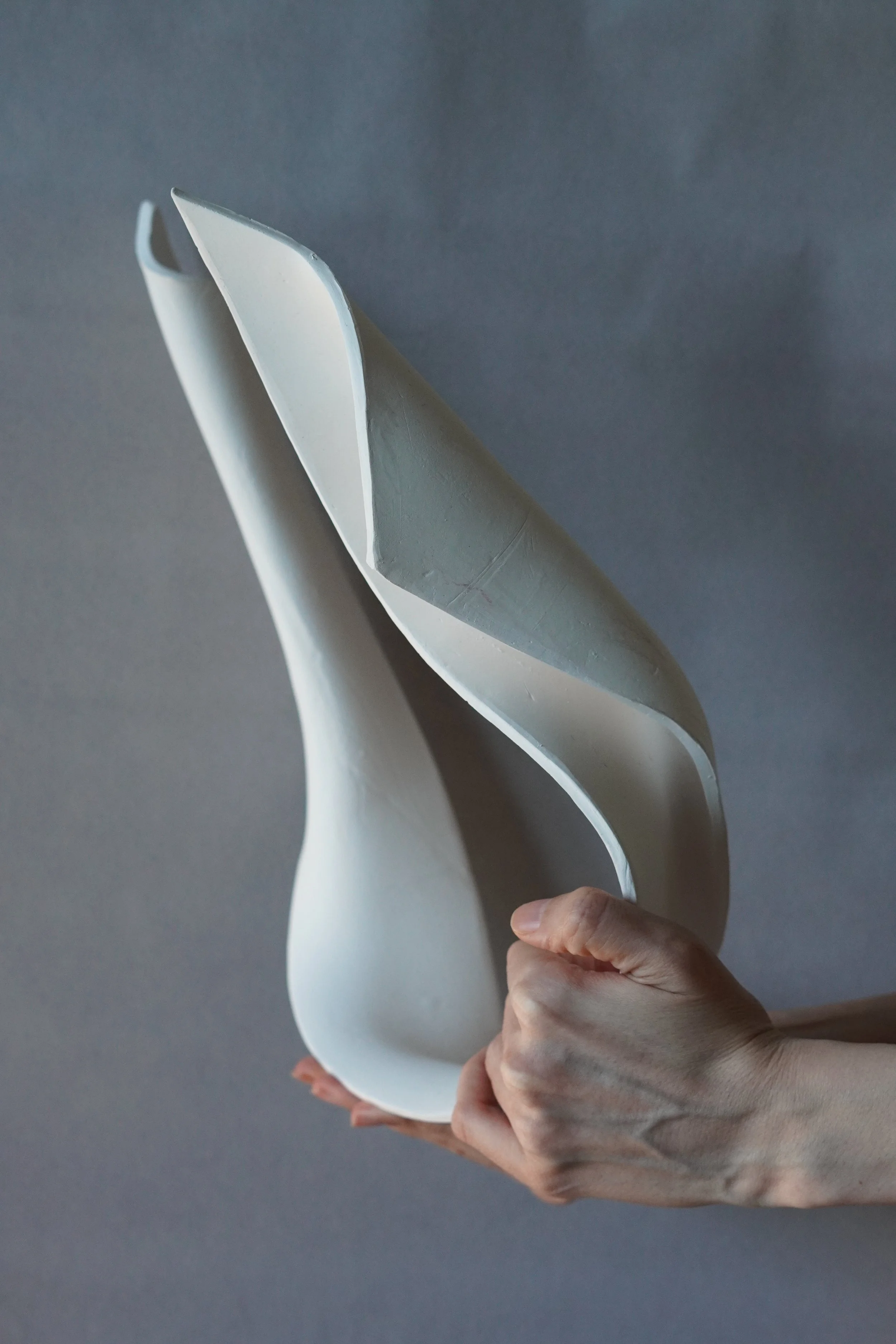 Nazanin Modares- Studio Delta P -  USA