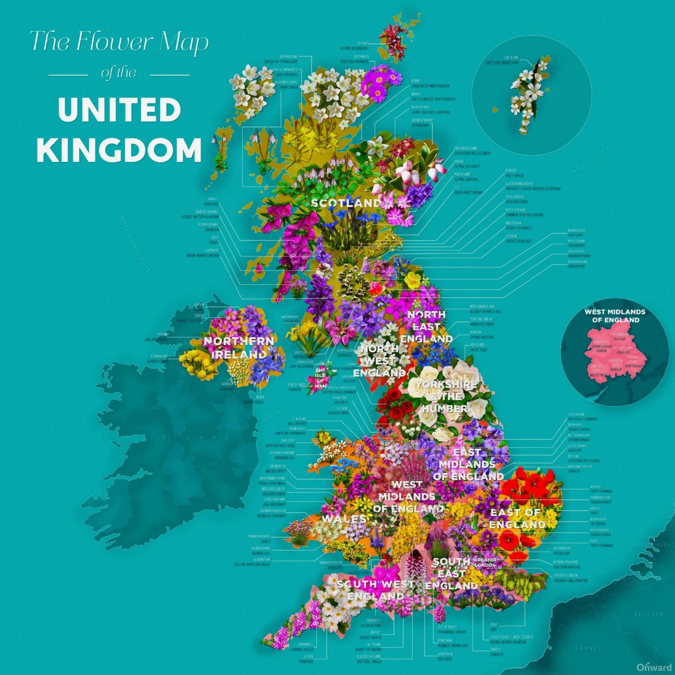 01_the-flower-map-of-the-uk-larger-file-size-2200x0-c-default.jpg