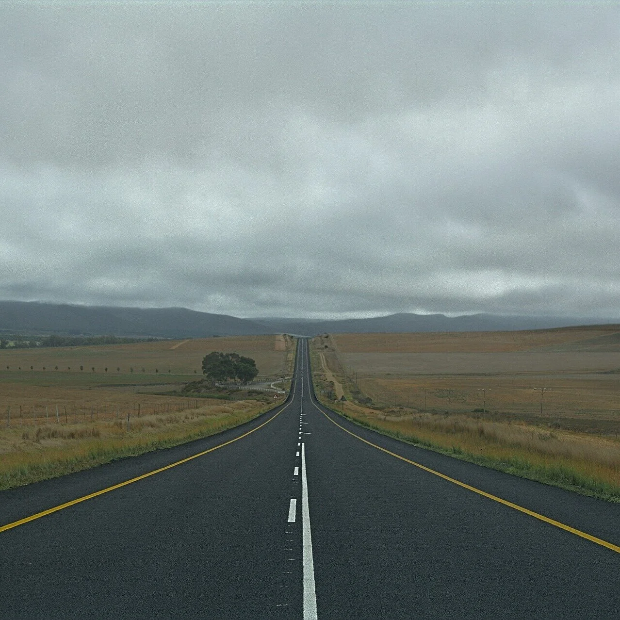 Driving Through Divorce 