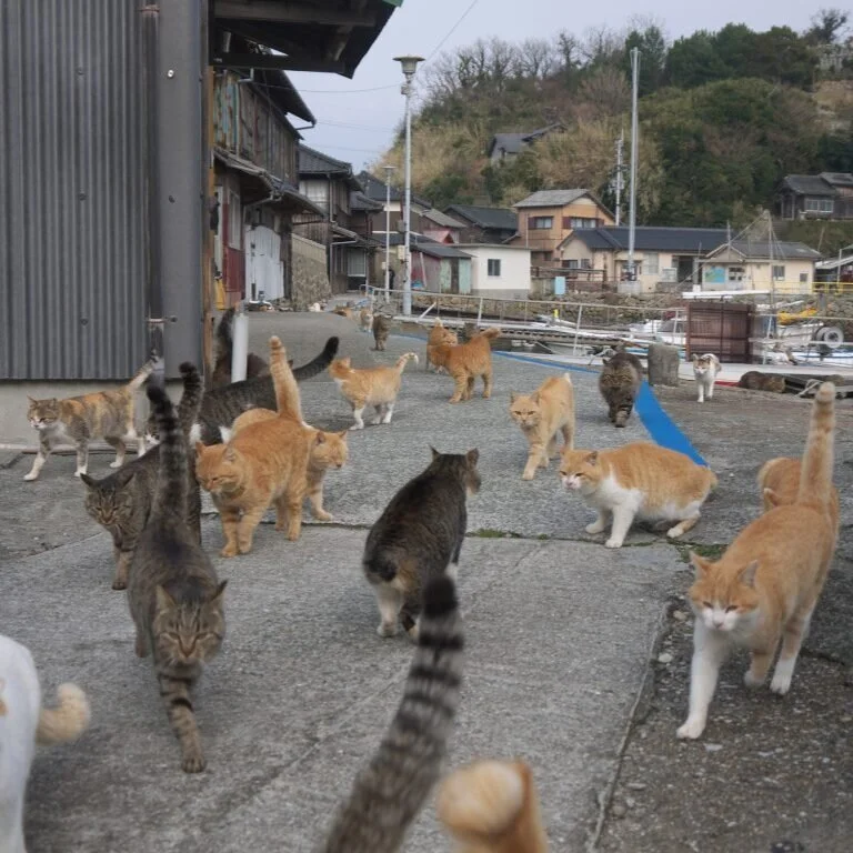 How To Help Me, Help You