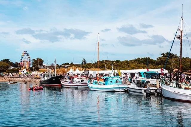 HARBOUR DAY Saturday 15th February 
The main event! From 10am on the Saturday morning The Apollo Bay Harbour will transform into an 'Off the Boat' Seafood Market, festival punters will be able to buy fresh seafood straight off the fishermen who caugh