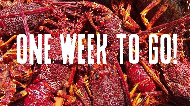 Only one week to go! 🦞
Tickets moving fast at apollobayseafoodfestival.com