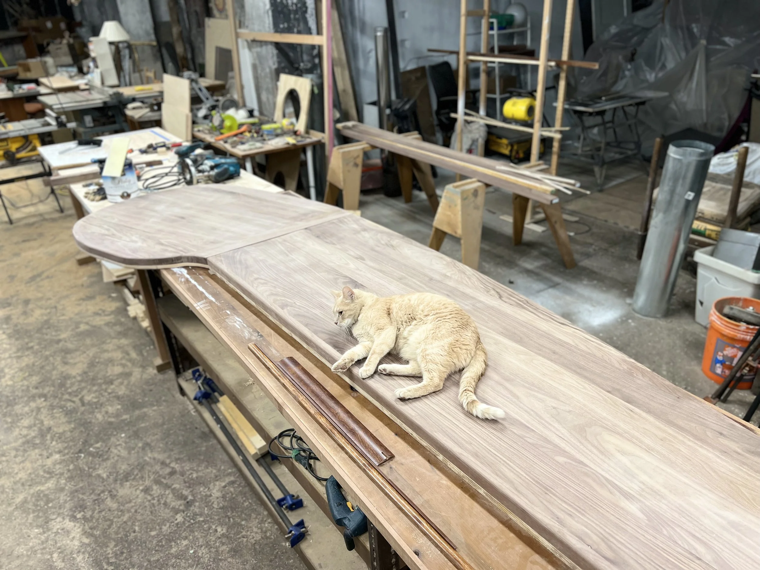 MrSawdust__DavidWalsh__Work__Woodworking__Bruno__Walnut-Table_47.jpg