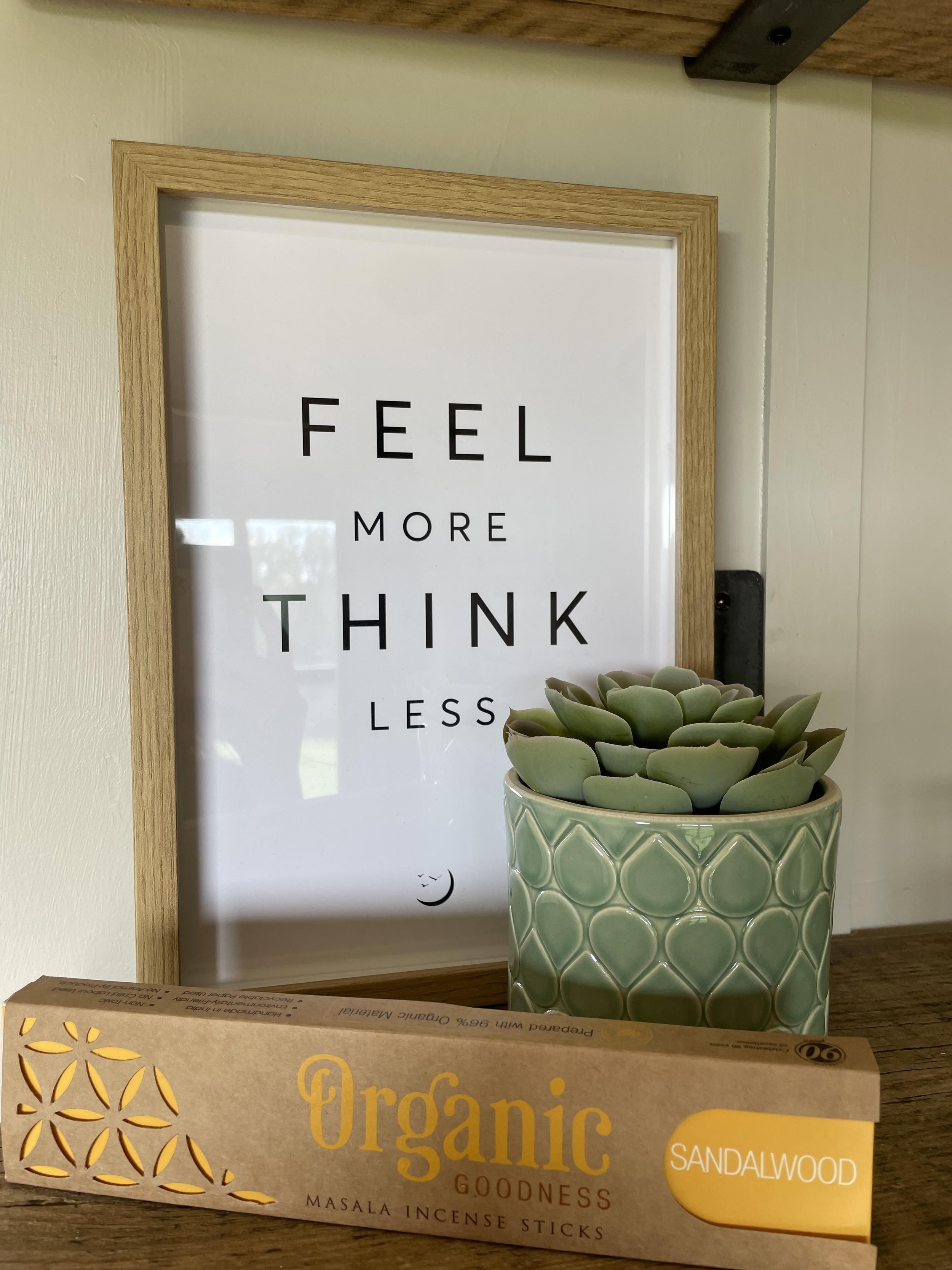 feel more think less SH.jpg