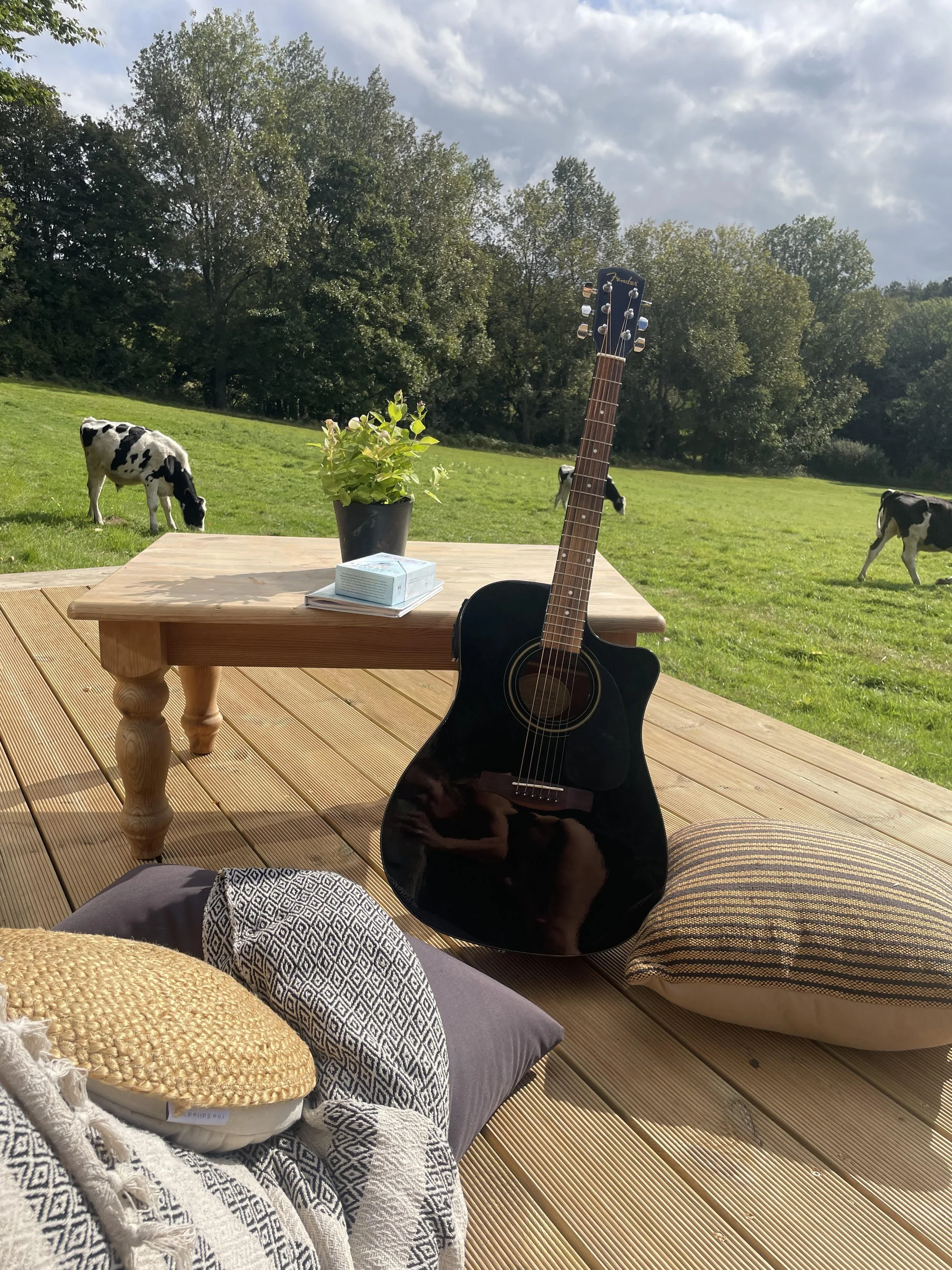 Guitar on deck - Copy.jpg