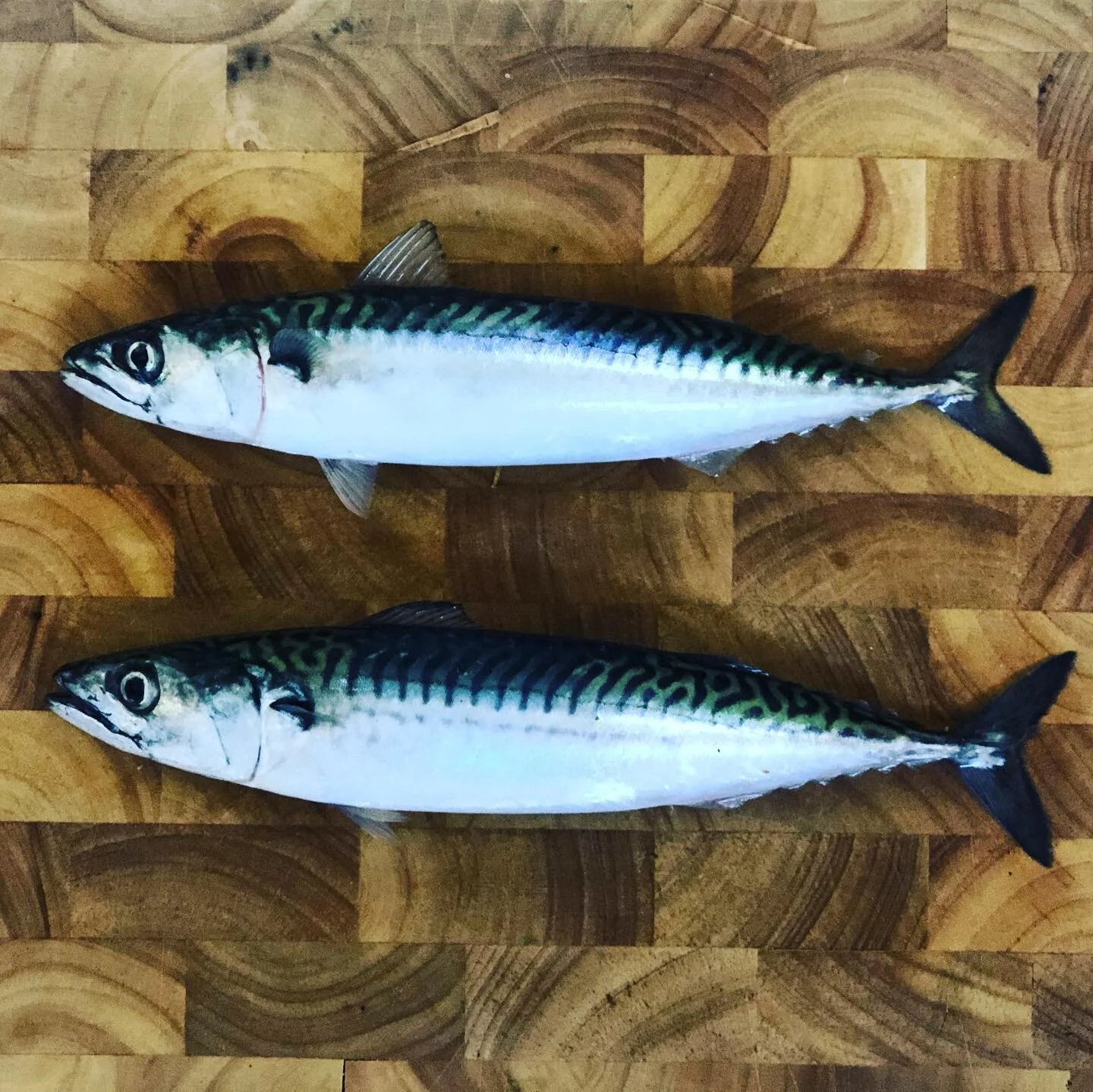 Pilates Lessons in Windsor