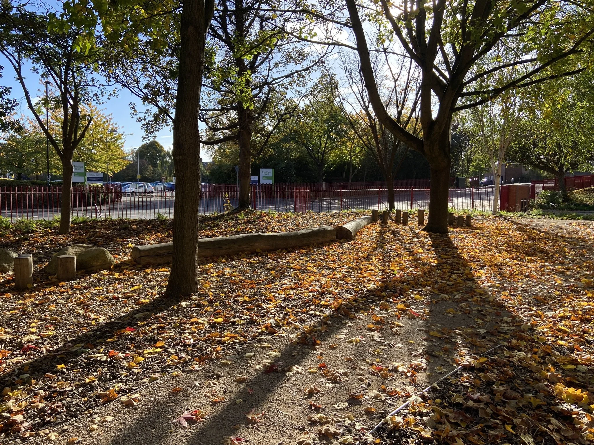 IMG_1406.JPEG