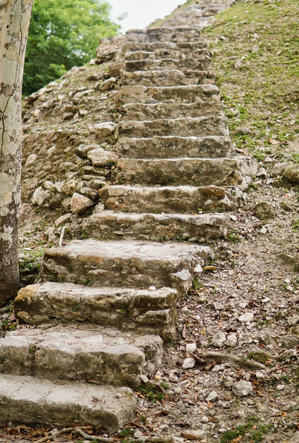 Belize-Healing-Farm-Retreat--24.jpg