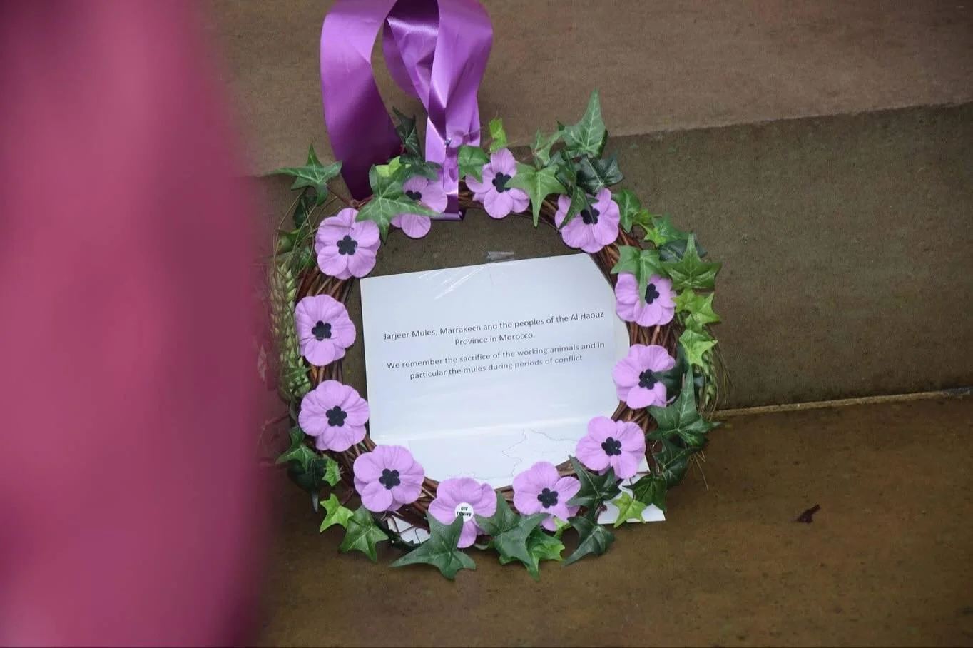 11 years ago today, my son and I were in London to remember the working equines who lost their lives during World War I and World War II #jarjeer