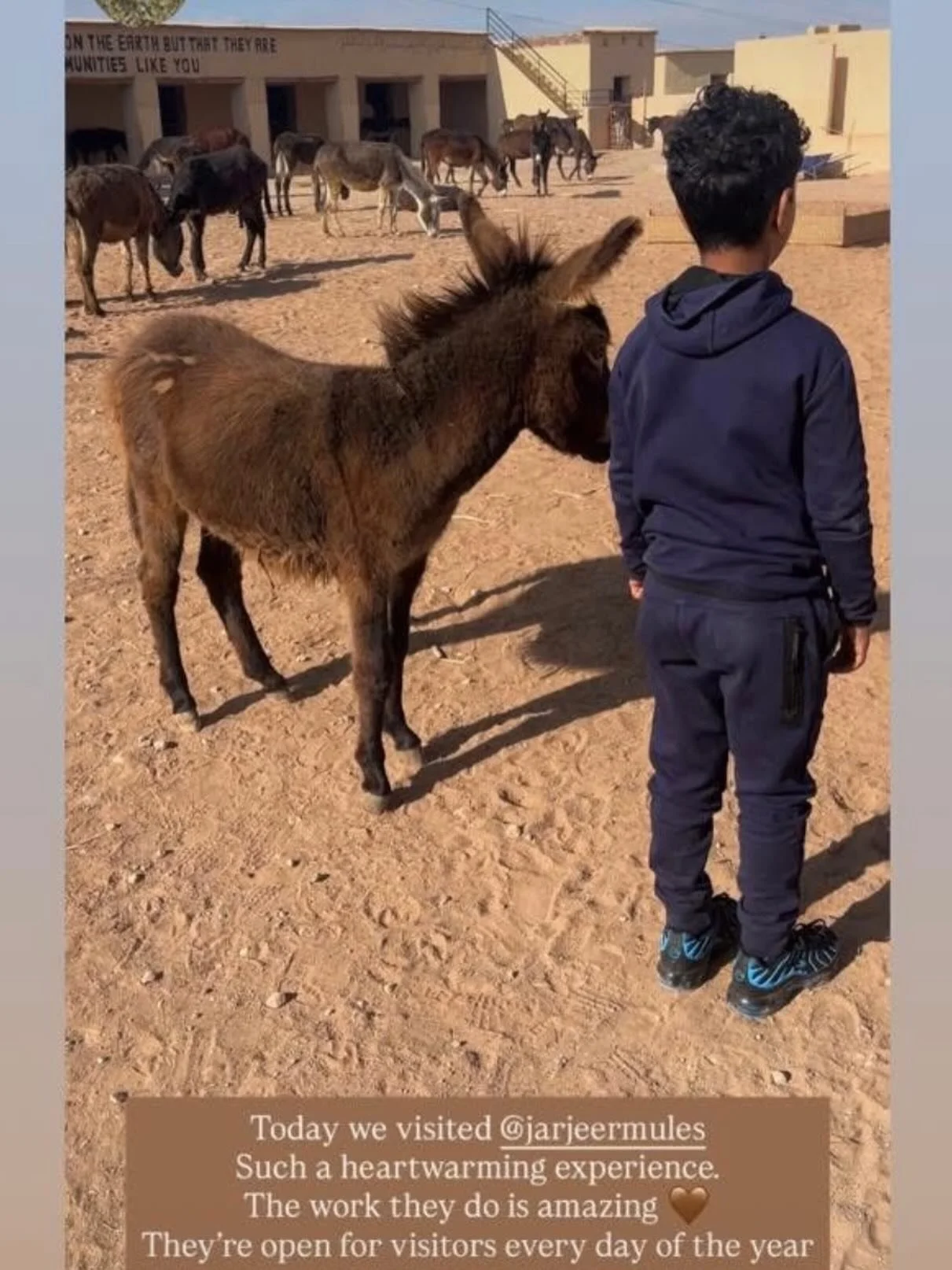 We had a great visit from our long-standing friend Peter, who bought Ryan to see the Donkeys. #jarjeer #donkeyrefuge #marrakech #oumnass