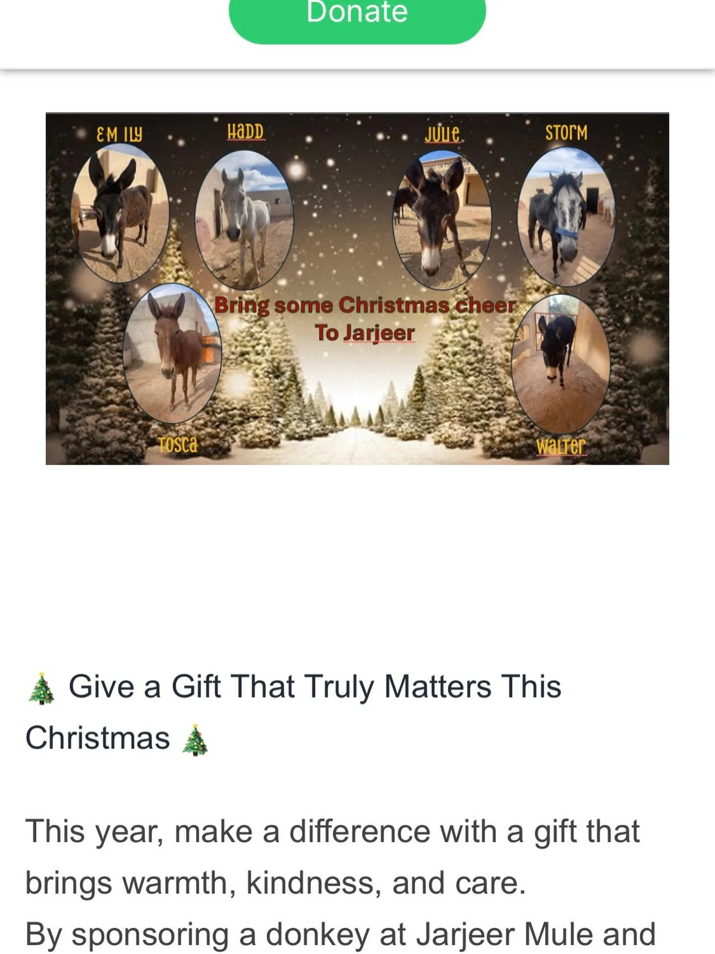 This is the link to our Christmas campaign. You can click on it easily by going to our bio where it is listed as the Donorbox Christmas Campaign. https://donorbox.org/christmas-campaign-831837?