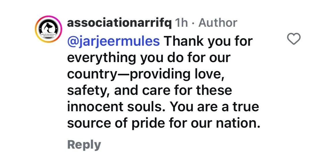 Association Affriq it's a genuine very authentic Charity in the Casablanca region who we are always happy to work with. This message that was just posted by that Charity and is the biggest compliment that we could ever be paid! Thank you so much and 