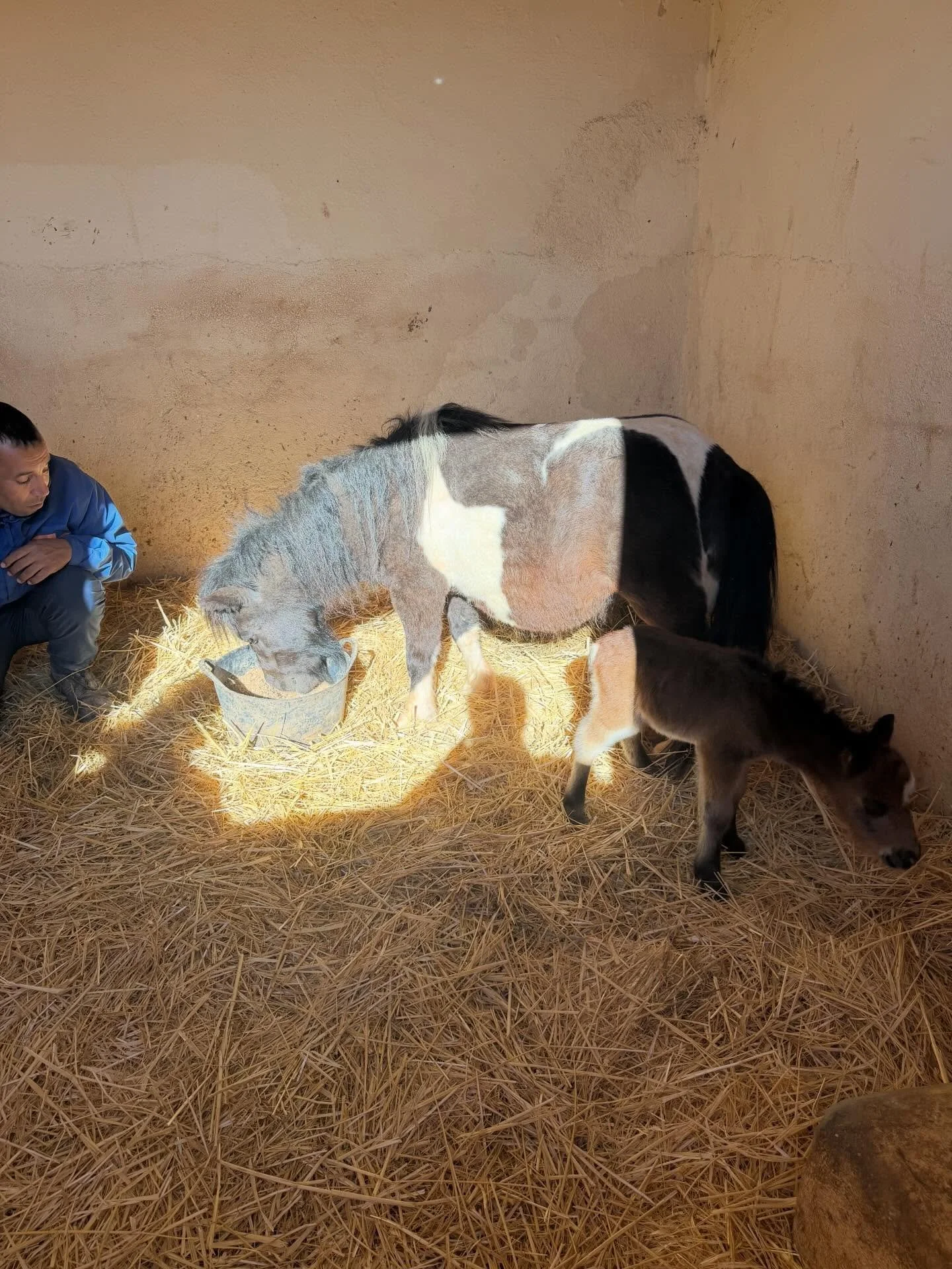 THANK YOU for contributing to the travelling costs. The driver has been paid and we are going to send him a little extra. We reached the sum required so we are now taking the fund dresser down. Without your help both in terms of saving Halima and tra