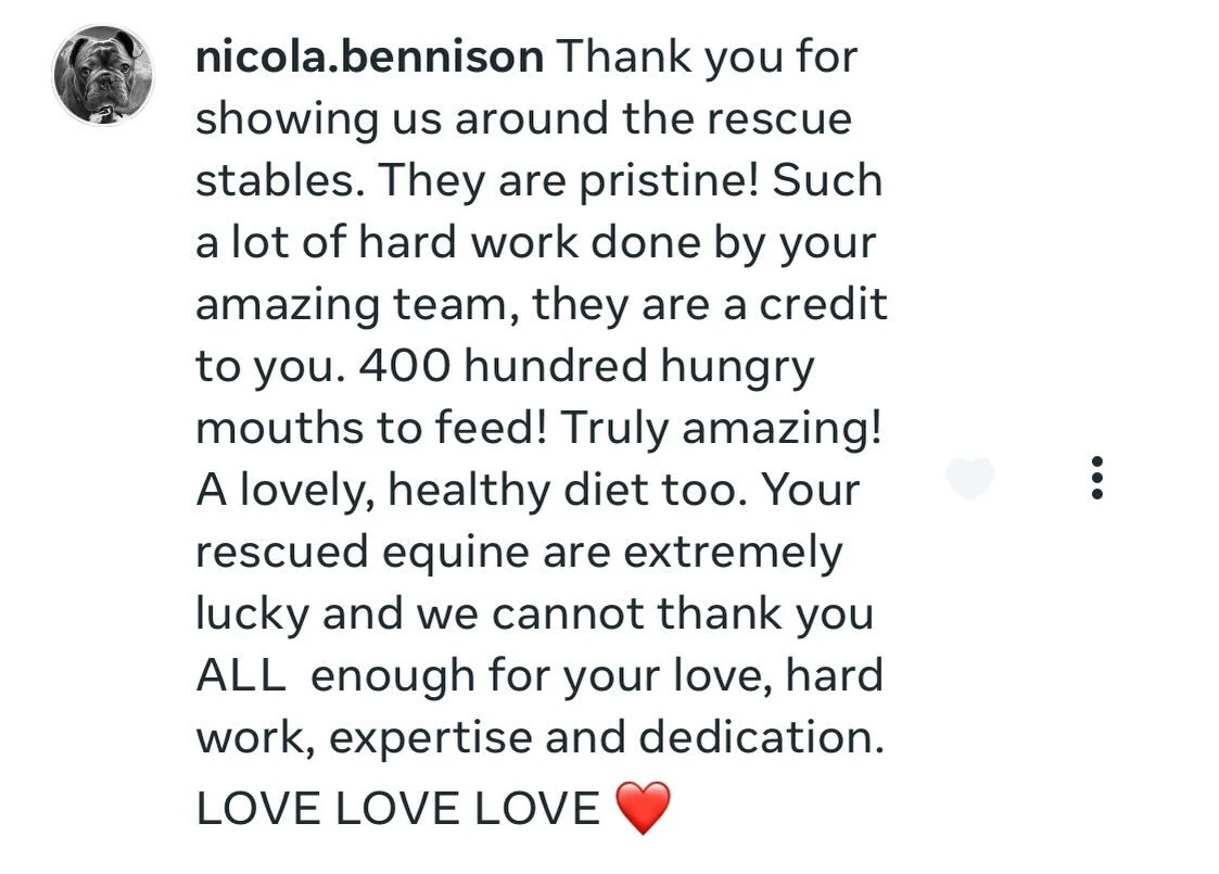 Thank you so much, Nicola. These messages mean a great deal to the team who works so hard for these equines. They are all Moroccan and a credit to their country. #jarjeer #equinerescue #morocco