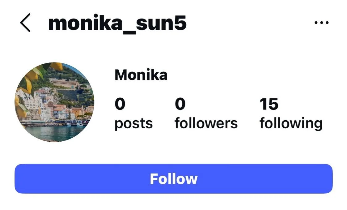 This person is German and put an abusive message on every one of my posts accusing Jarjeer of keeping animals in appalling conditions. She told us that when we let the pony run because that was just for the video and we would put them back in dusty d