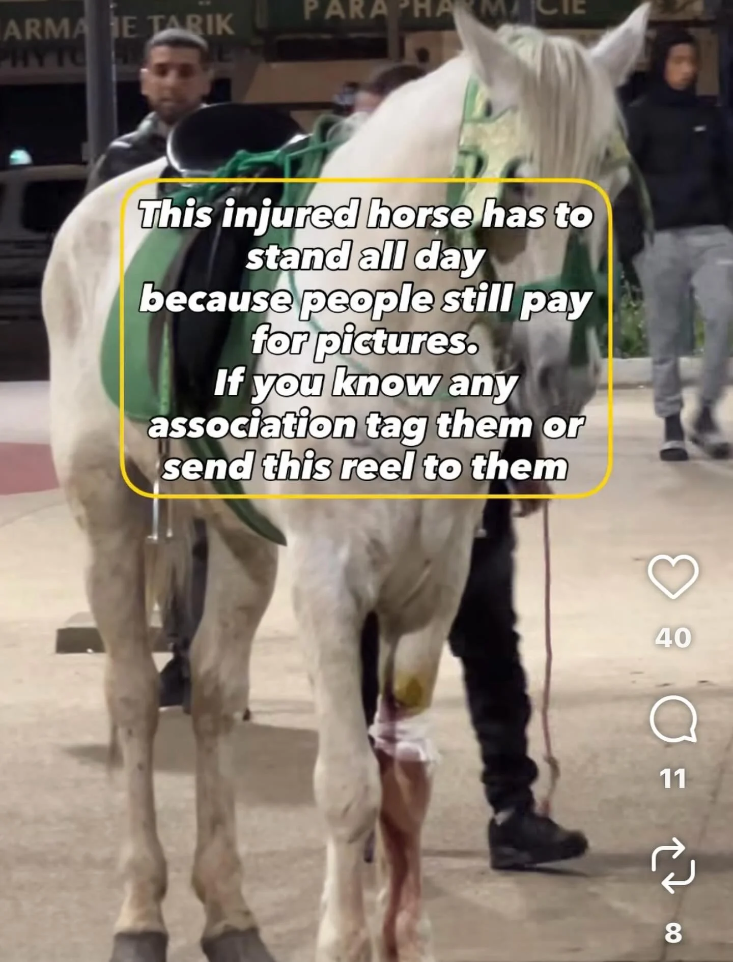 This reel has been sent to me. Of course we want to help and if anyone in Casablanca could contact the owner or put us in touch with him we can perhaps a negotiate a release for him. Thank you. #jarjeer #casablanca