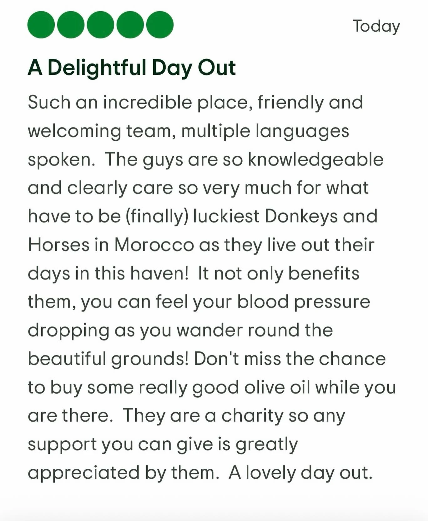 I cannot thank my Moroccan team enough for keeping the refuge to such a high standard whilst I'm incapacitated. Huge thanks, Susan #jarjeer