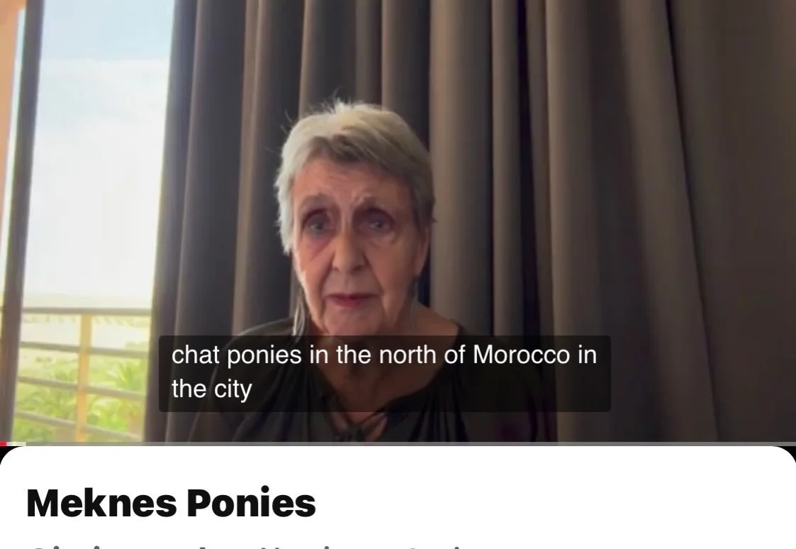 I'm sorry that I can't put a link here, but I have just done quite a long video on YouTube. Explain the background situation in Meknes. You can view it by visiting "The Donkey Barrister" on YouTube. If you do visit, please like and share an